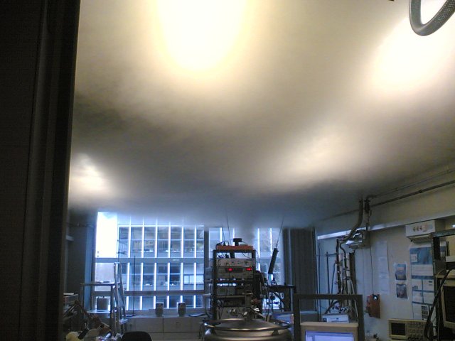 the-great-white-plume.jpg the-great-white-plume.jpg