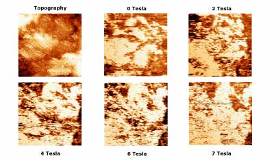 tile-original-colors.jpg tile-original-colors.jpg